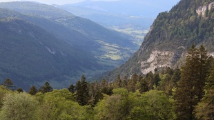 Col de Rousset : dans le silence retrouvé du Vercors, une randonnée loin de la foule