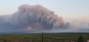 Feux de forêt dans le Var : chaque geste compte, la prévention est notre meilleure protection