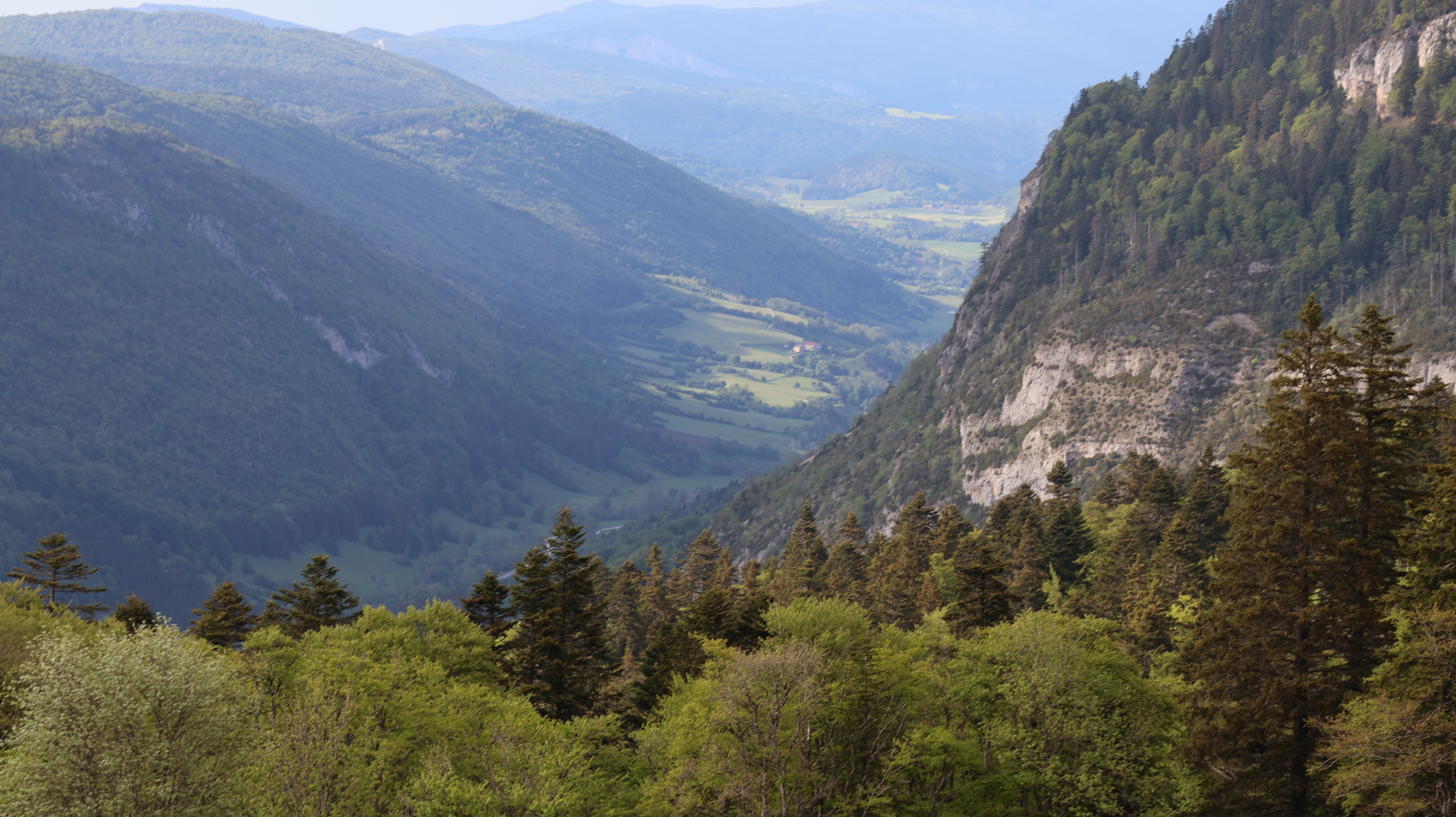 Col de Rousset : dans le silence retrouvé du Vercors, une randonnée loin de la foule