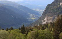 Col de Rousset : dans le silence retrouvé du Vercors, une randonnée loin de la foule