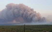 Feux de forêt dans le Var : chaque geste compte, la prévention est notre meilleure protection